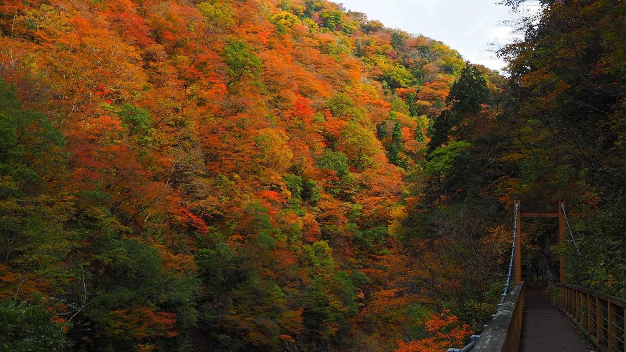 Kashintei Shirahama Hotel Semboku Екстериор снимка