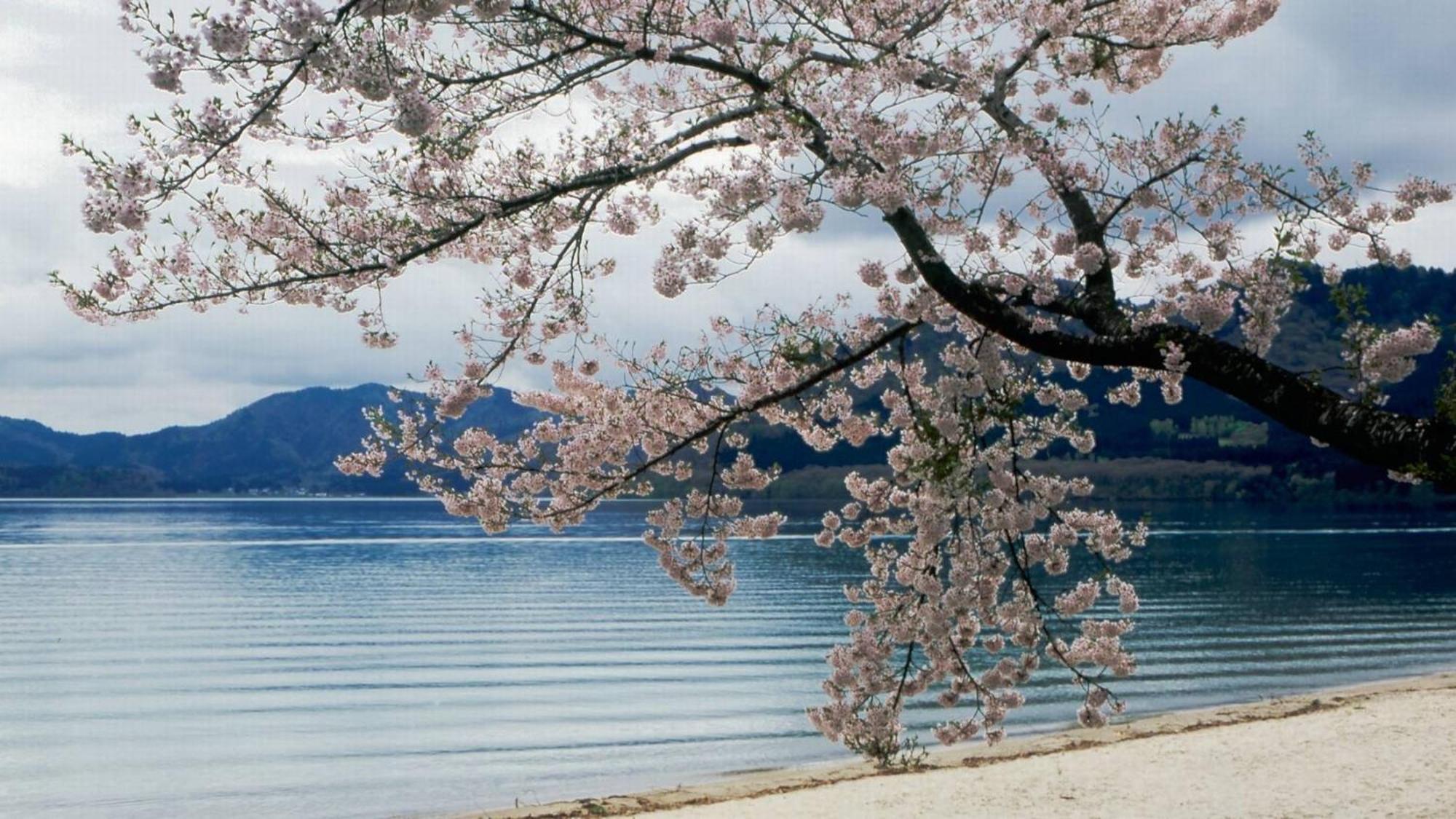Kashintei Shirahama Hotel Semboku Екстериор снимка